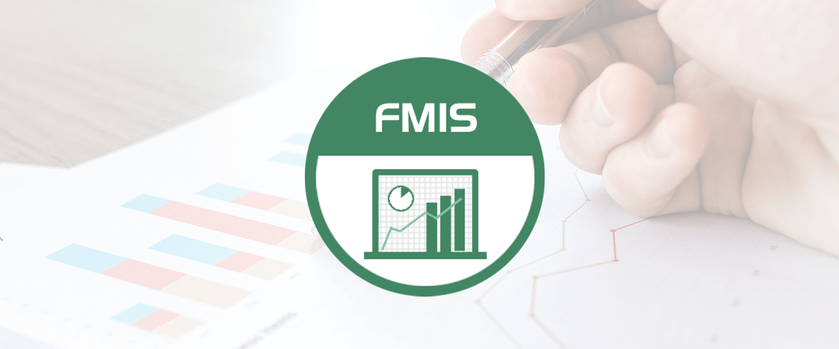 fmis logo